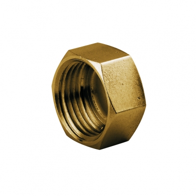 Blind hexagonal nut