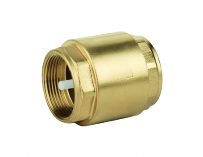 Cylindrical check valve