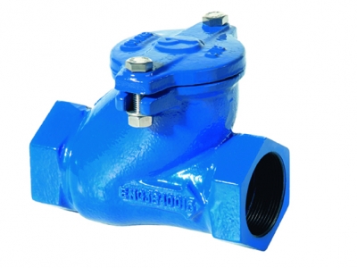 Ball check valve threaded