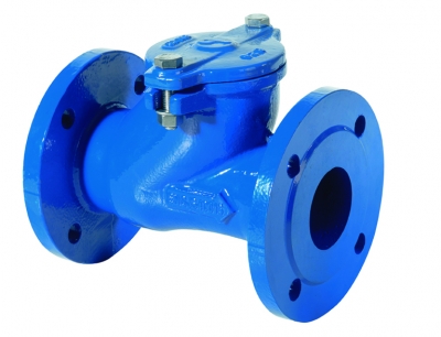 Ball check valve flanged